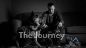 The Journey of a Service Dog Team: What It Really Takes
