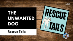 The Dogs Nobody Wants: Why Some Rescue Dogs Get Overlooked