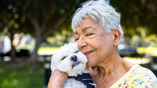 Why Dogs Behave Differently When Family Visits