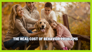 Is dog training really expensive, or are we looking at it the wrong way?
