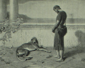 What Breed Was Argus in The Odyssey? The True Story Behind History’s Most Loyal Dog