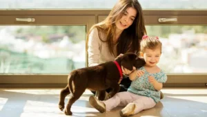 How Much Training Does Your Dog Actually Need?