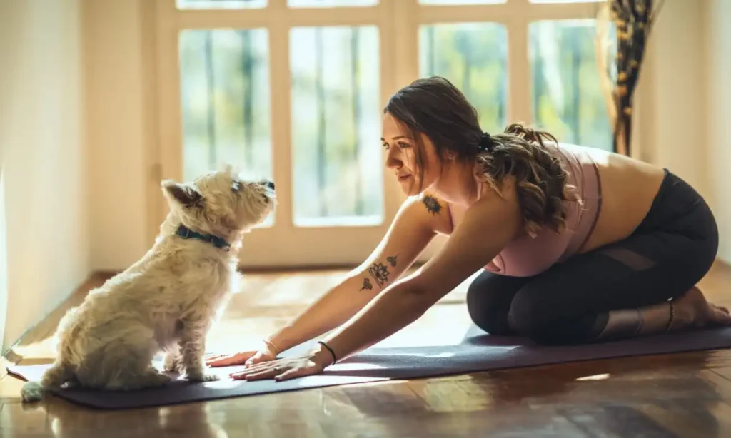 Mid-Year Behavior Checkup: Is Your Dog Where They Should Be?