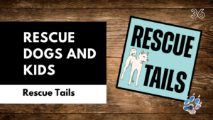 Kids and Rescue Dogs: Safe Introductions, Training Tips, and Preventing Problems | Rescue Tails Podcast