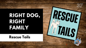 How to Match a Rescue Dog with the Right Family | Rescue Tails Podcast