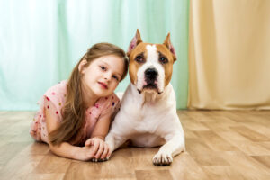 The After-School Rush: Dog Training Tips for Busy Families