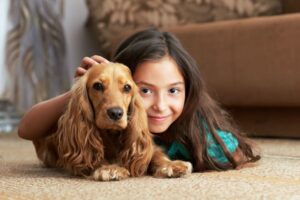 Is Your Dog Ready to Be Home Alone? Back-to-School Dog Safety in Alaska