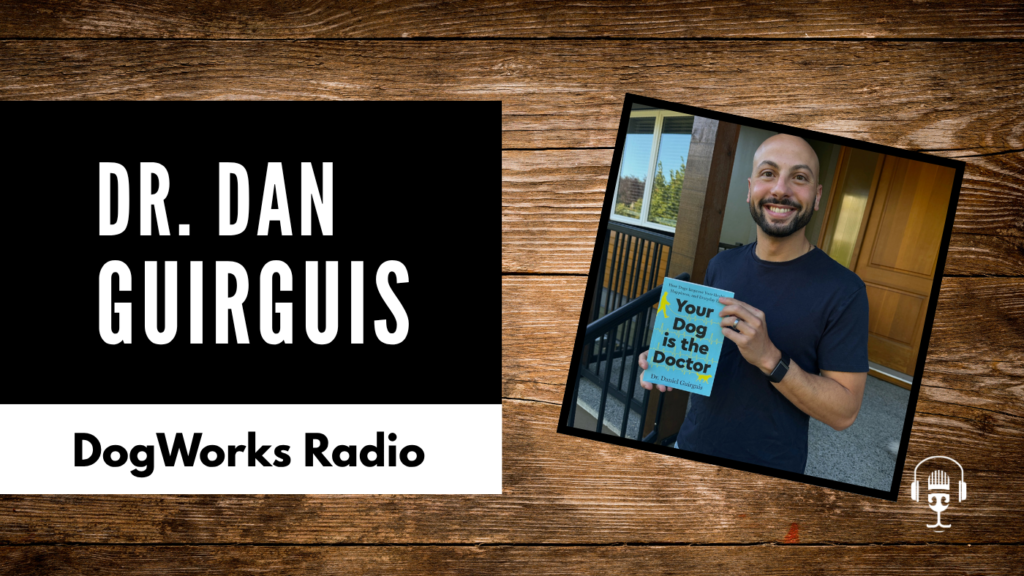 How Dogs Improve Your Health | Dog Works Radio