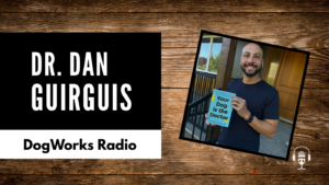 How Dogs Improve Your Health | Dog Works Radio