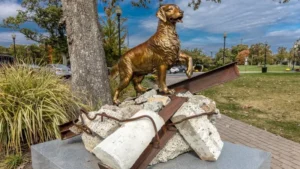 The Dogs of September 11: Search, Recovery, and the Working Dogs We Still Remember