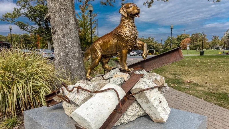 The Dogs of September 11: Search, Recovery, and the Working Dogs We Still Remember