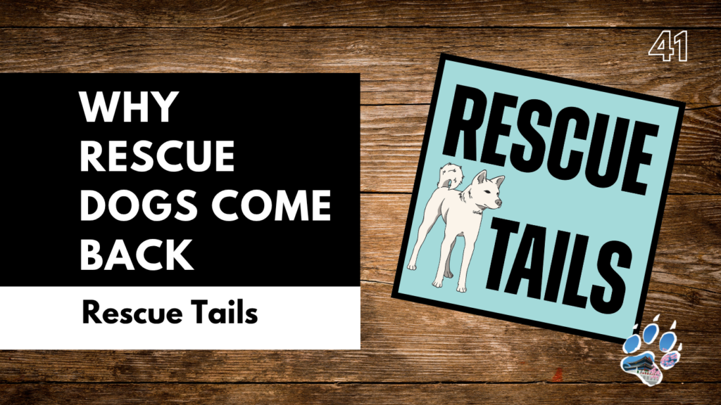 Why Rescue Dogs Get Returned and How to Prevent It | Rescue Tales