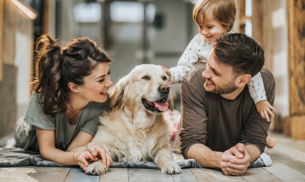AKC Community Canine (CGCA): Taking Your Dog’s Training Beyond Basic Obedience