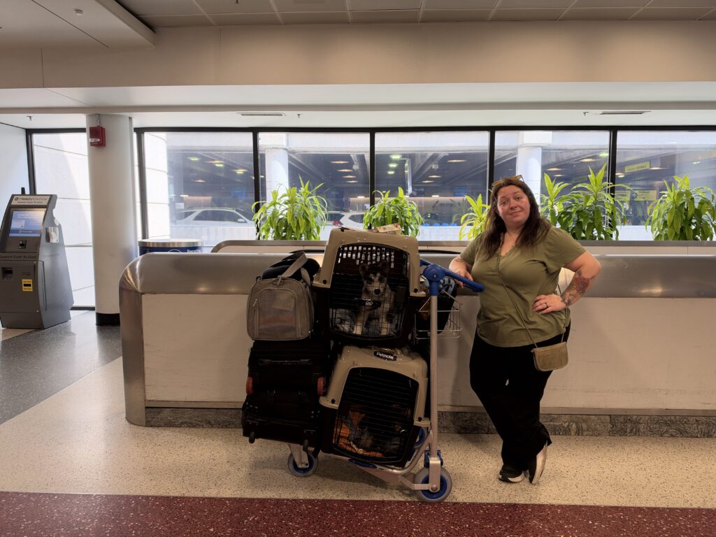 Bringing Skoll and Durin Home: Practical Lessons from Our Maine-to-Alaska Puppy Adventure