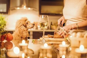 Turkey Day Prep: Getting Your Dog Ready for the Big Meal