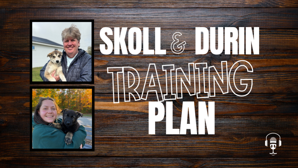Two Pups One Foundation Winter With Sköll and Durin