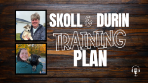 Two Pups One Foundation Winter With Sköll and Durin