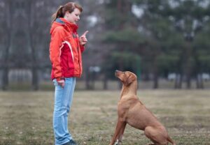 Leadership Stays: Building Calmness and Impulse Control