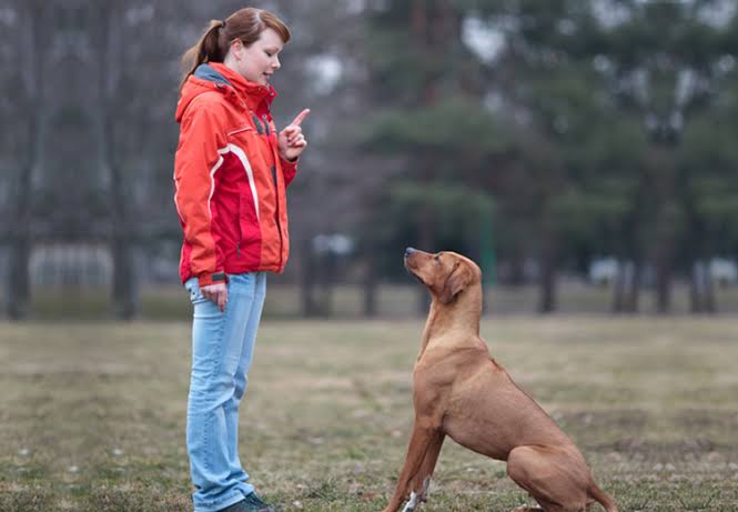 Leadership Stays: Building Calmness and Impulse Control